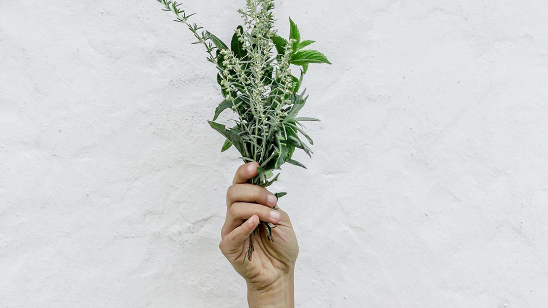 Woman Holding Vegan Ingredients for Natural Skincare