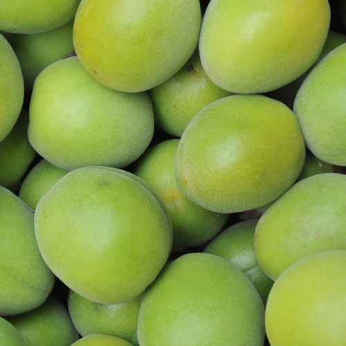 Another natural source of vitamin C: How does it compare?