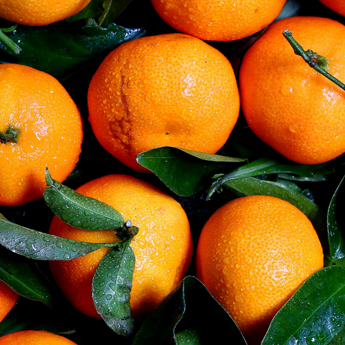 Vitamin C: The skin loving nutrient